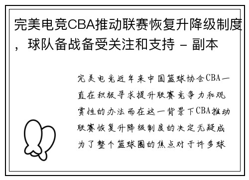 完美电竞CBA推动联赛恢复升降级制度，球队备战备受关注和支持 - 副本 (2)